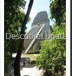 Tikal_091_thumb.jpg
